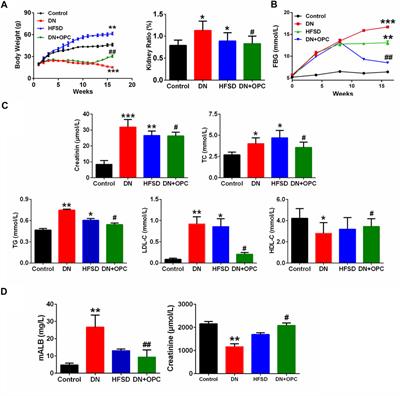 Proanthocyanidins Protect Against Cadmium-Induced Diabetic Nephropathy Through p38 MAPK and Keap1/Nrf2 Signaling Pathways